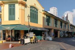 Veerasamy Road (D8), Shop House #498287531